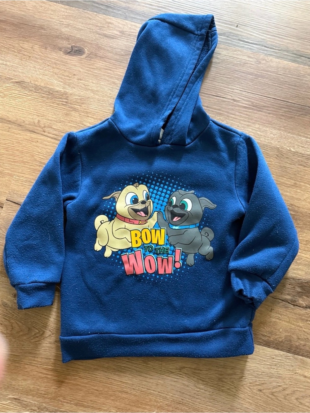 Puppy Dog Pals hoodie